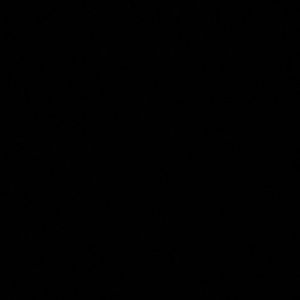 Meet your Posher, Rebeca